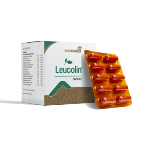 Leucolin Capsule